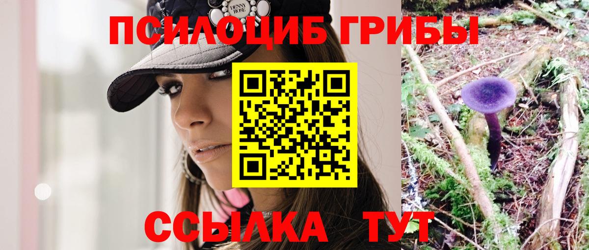 даркнет сайт  Псилоцибиновые грибы мухоморы  Вход с VPN  Серов 
